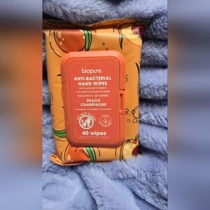 Biopure Anti Bacterual Hand Wipes